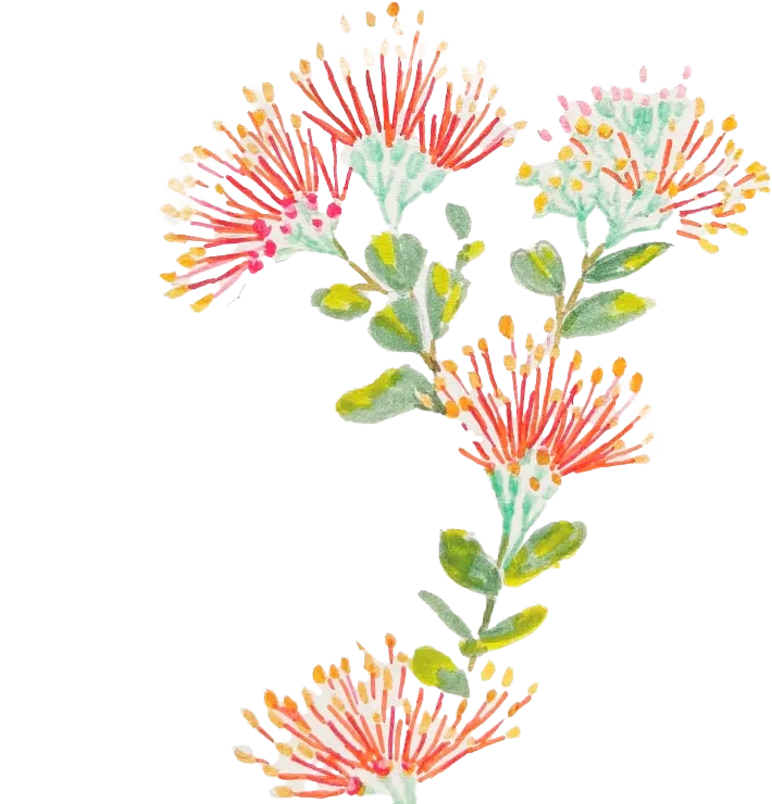 お花のイラスト