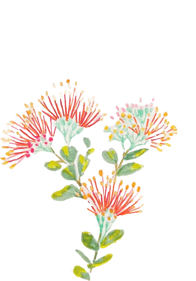 お花のイラスト